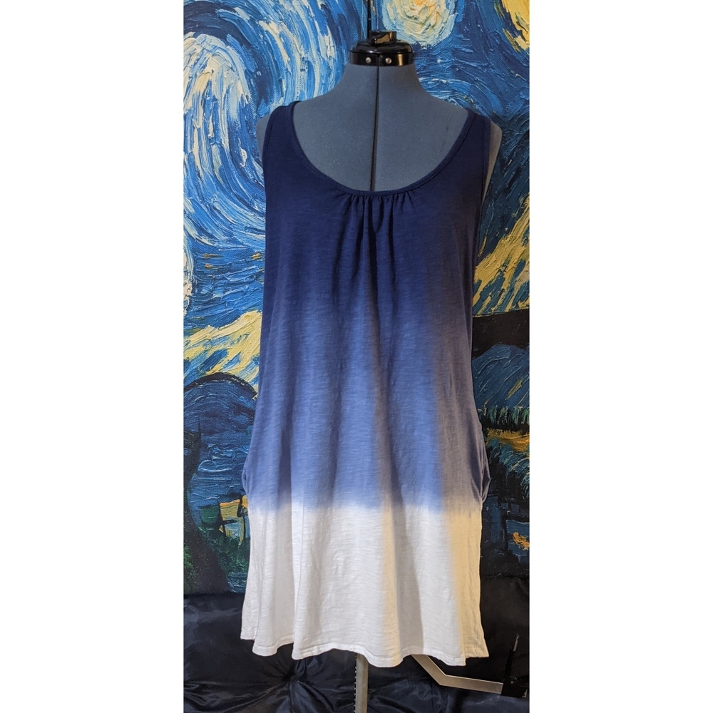 LAUREN RALPH LAUREN Ombre Sleeveless Shirt Dress